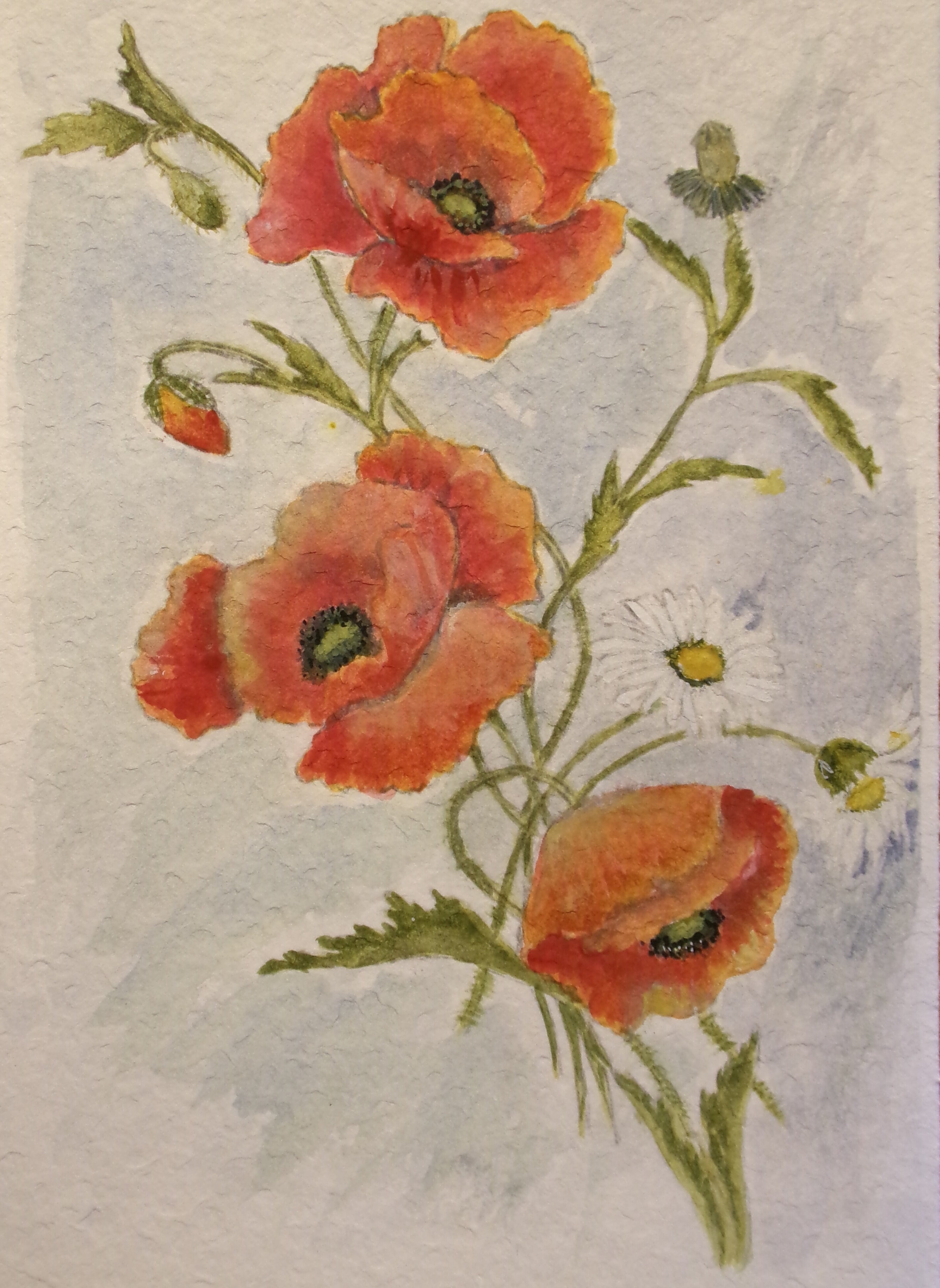 Poppies & Daisies – A Bloom of Serenity